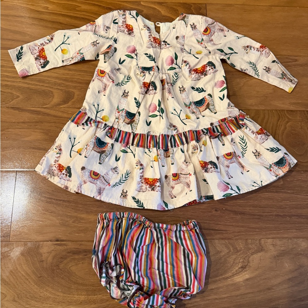 Kids Pink Chicken Dress and Bloomers